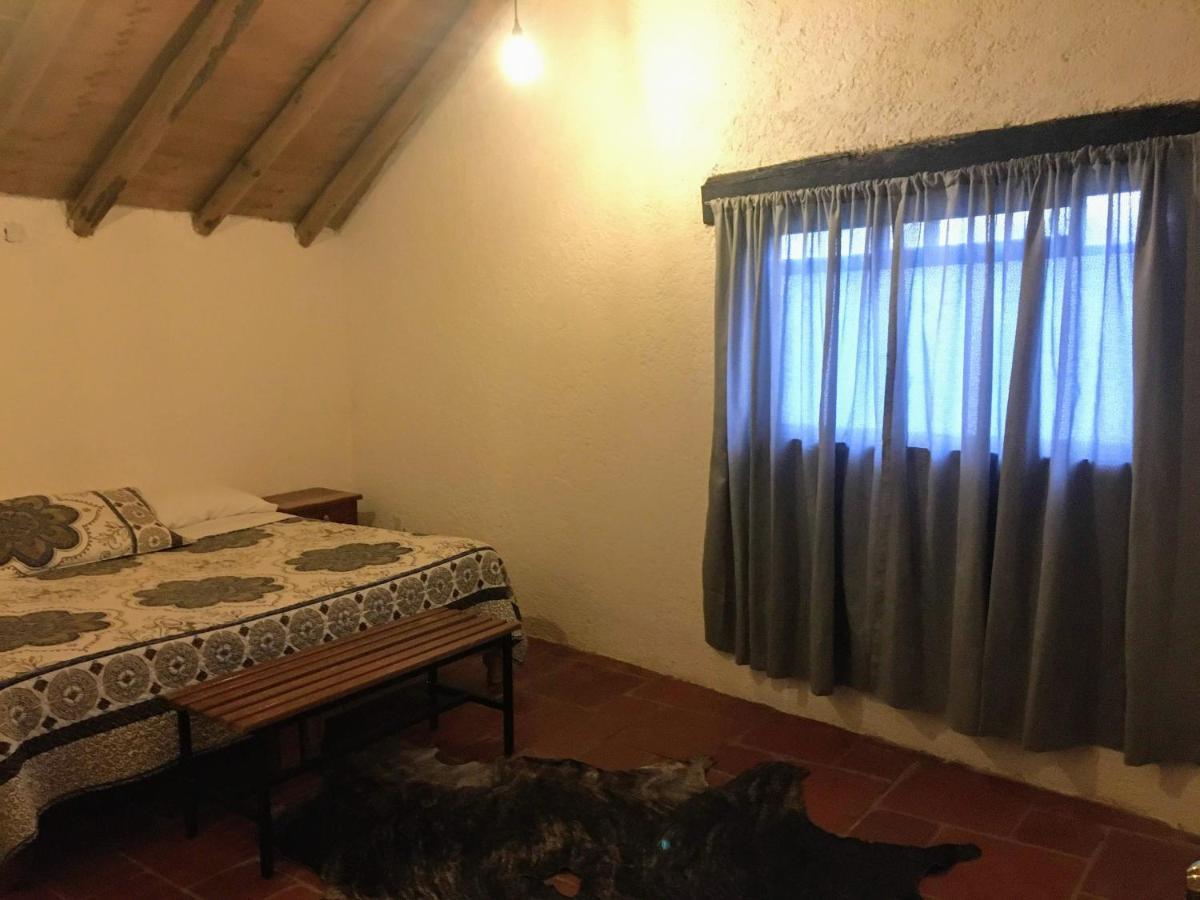 Hotel Del Rio هواسكا دي أوكامبو المظهر الخارجي الصورة